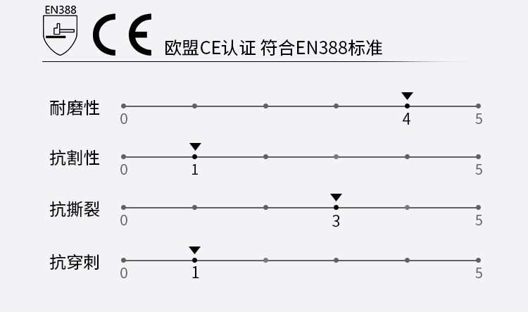 賽立特N10818丁腈手套圖片4