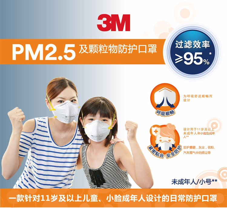 3M8130SCN防塵口罩圖片1