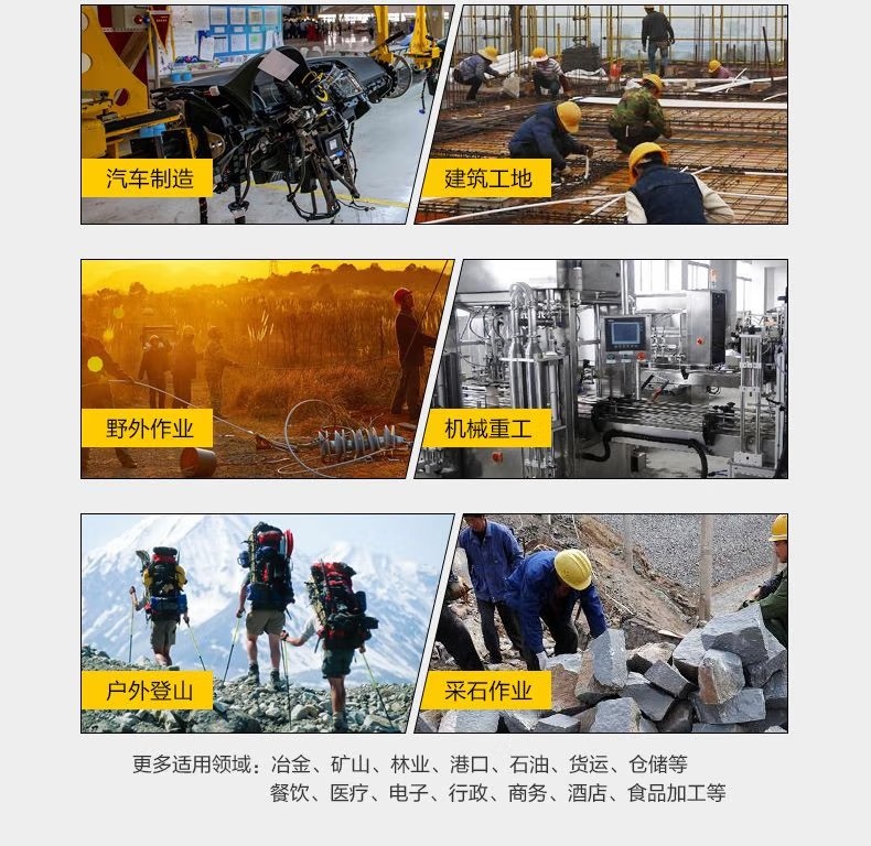 賽獅S3004防砸防刺穿防靜電安全鞋7