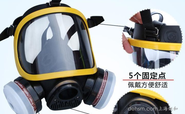 DH20154全面罩防毒面具細節圖1